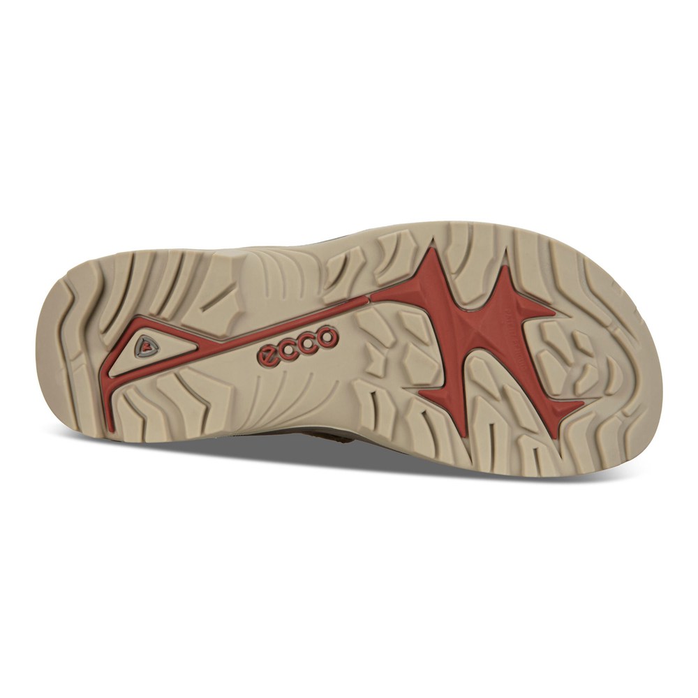 ECCO Mens Sandals Brown - Offroad Flat - GIH-947150